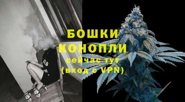 сатива Надым