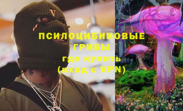 тгк Михайловск
