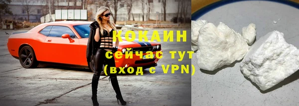 сатива Надым